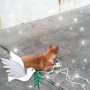 Meet your Posher, Jim